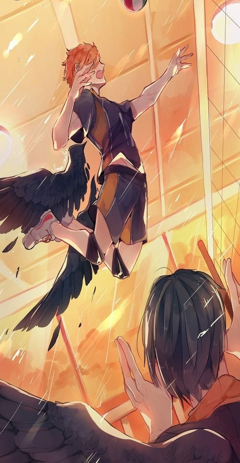 800x1545 Haikyuu, anime, cool, cute, hinata, jump, HD phone wallpaper