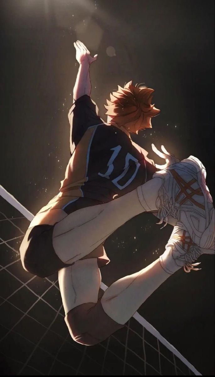 685x1200 HINATA SHOYO