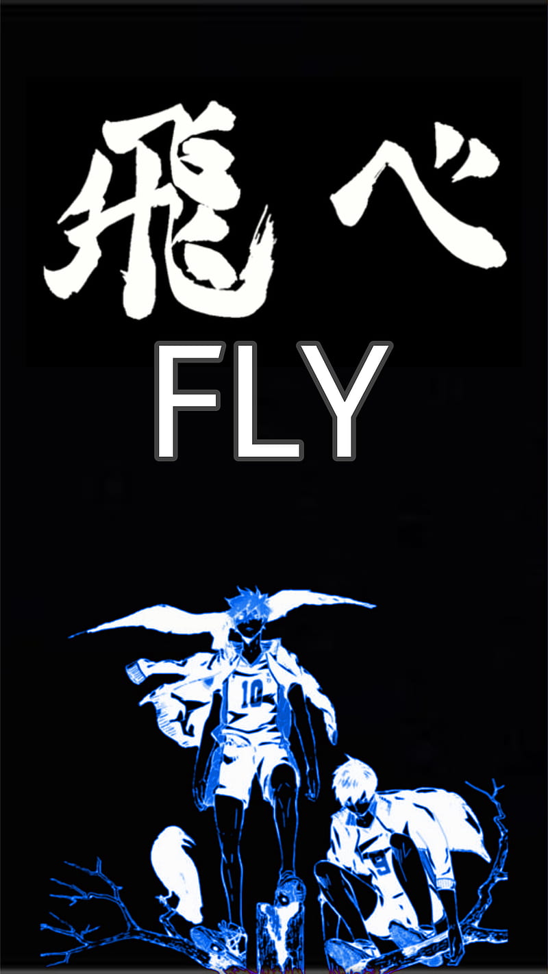 800x1422 Haikyuu, anime, fly, haikyu, hinata, kageyama, king of the court, shoyo hinata, HD phone wallpaper