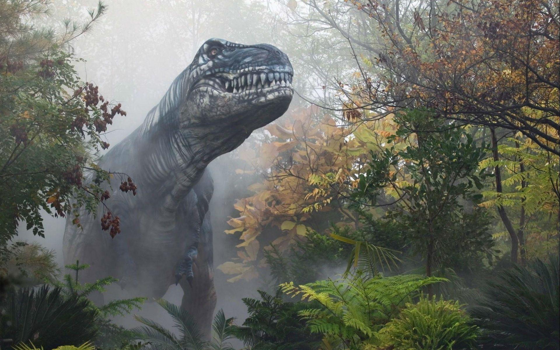 1920x1200 Free download Dinosaur Computer Wallpaper Desktop Background 1920x1200 ID [1920x1200] for your Desktop, Mobile & Tablet. Explore Dinosaur Desktop Wallpaper. HD Dinosaur Wallpaper, Free Dinosaur Wallpaper Downloads, Dinosaurs Desktop Wallpaper