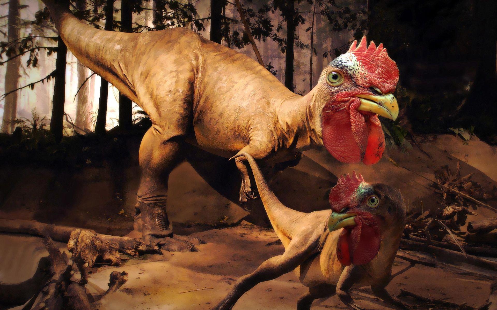 1920x1200 Dinosaurs chickens wallpaperx1200