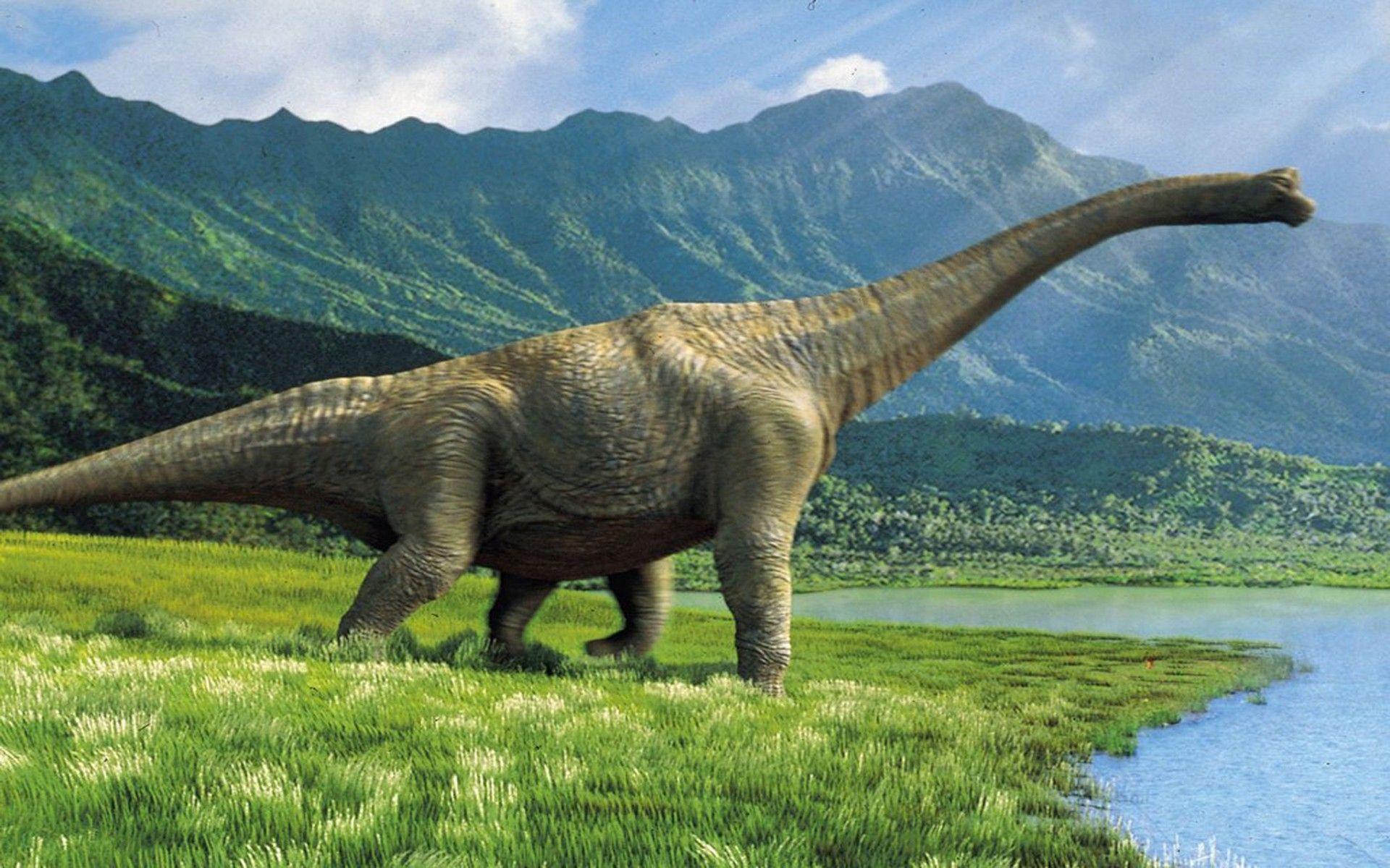1920x1200 Dinosaurs Live Wallpaper :
