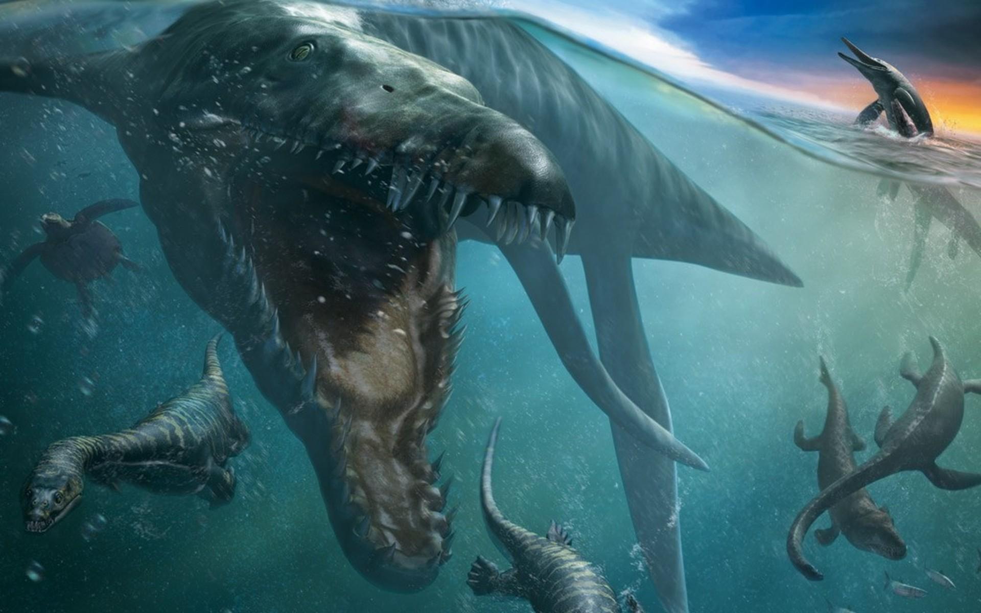 1920x1200 Liopleurodon Wallpaper. Liopleurodon Wallpaper, Walking with Dinosaurs Liopleurodon Wallpaper and