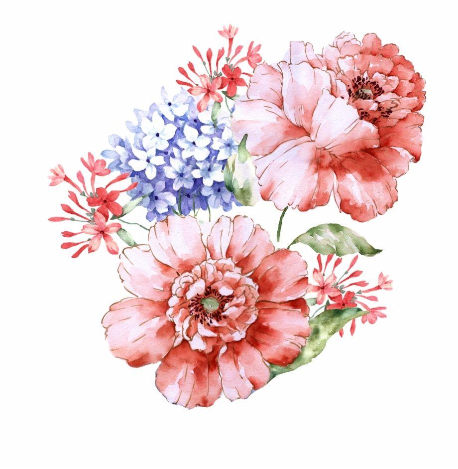 920x941 Watercolor Peony Wallpaper Painting. Transparent PNG Download
