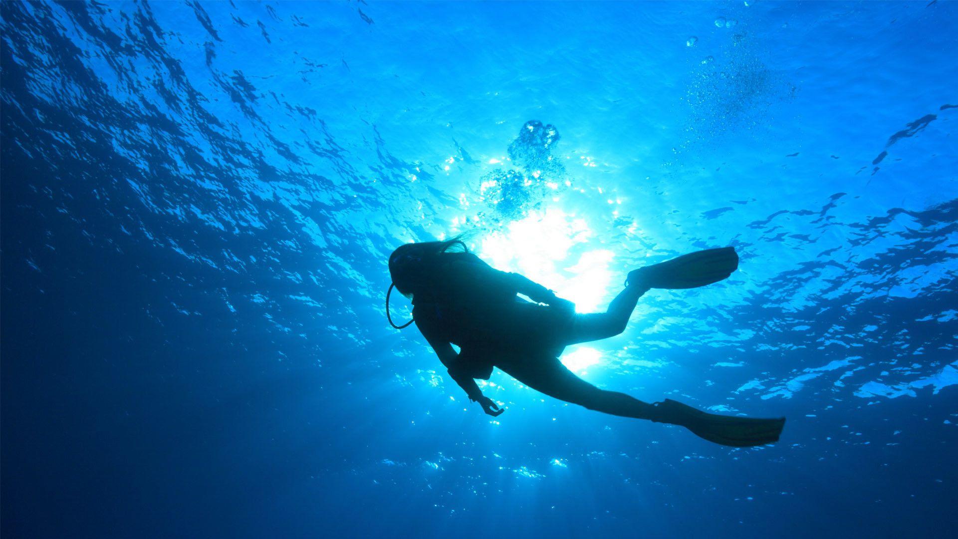 1920x1080 Scuba Diving Wallpaper Â' Data Src Scuba Diving
