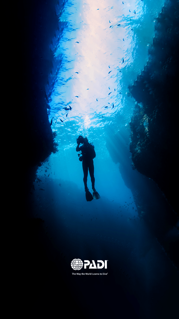 750x1334 Scuba Diving Wallpaper Diving Wallpaper iPhone
