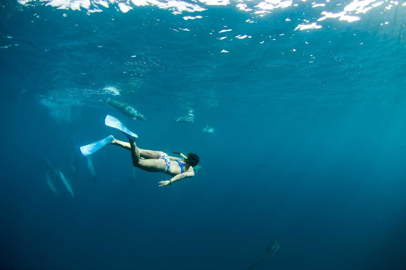 1640x1093 Diving Wallpaper