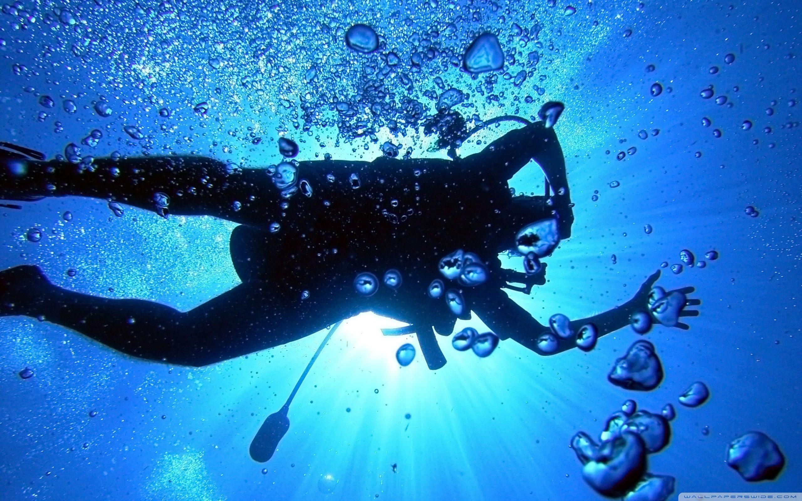 2560x1600 Diver Wallpaper 2560x1600
