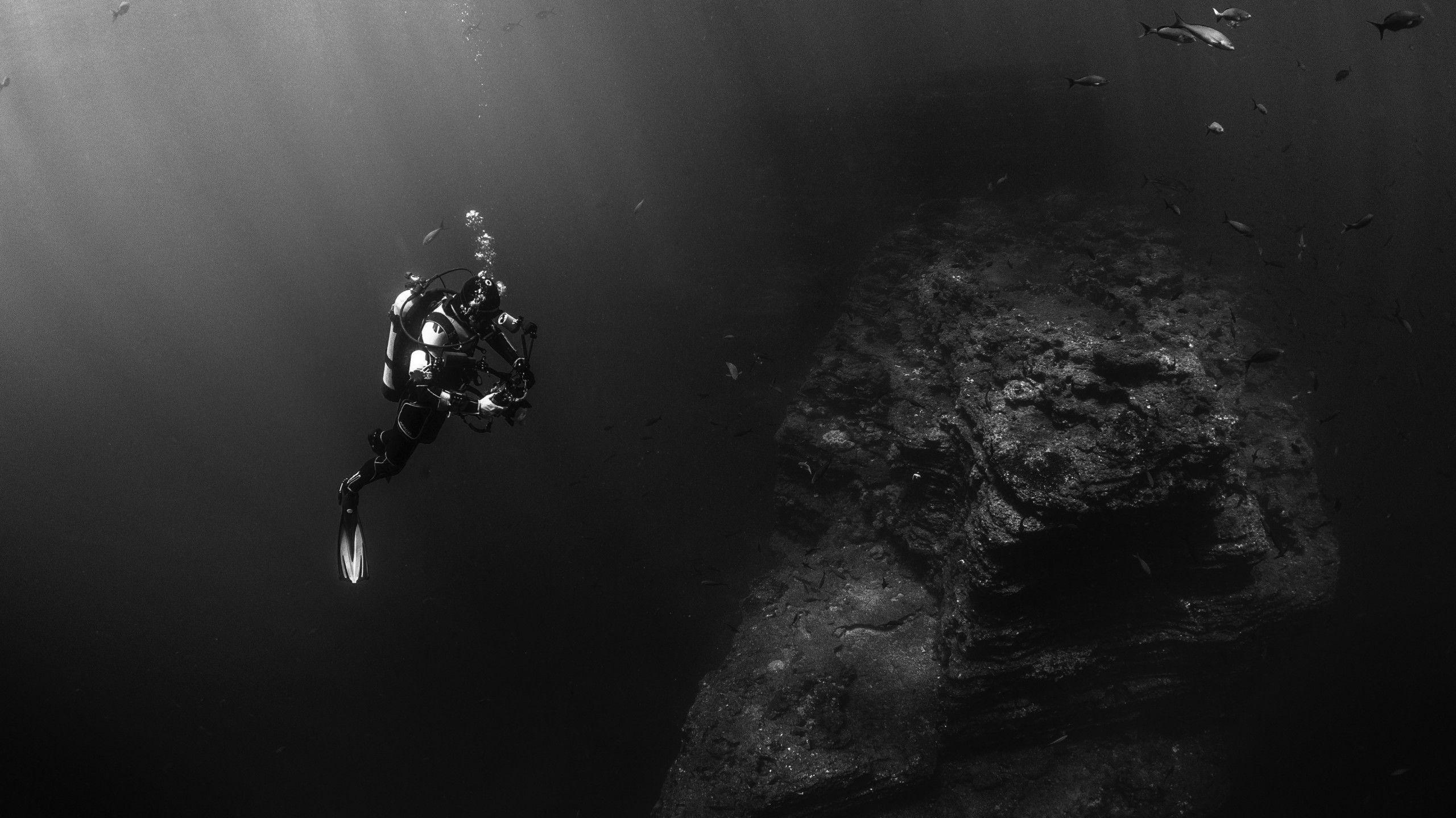 2560x1440 Download wallpaper: Diver in the Pacific Ocean 2560x1440
