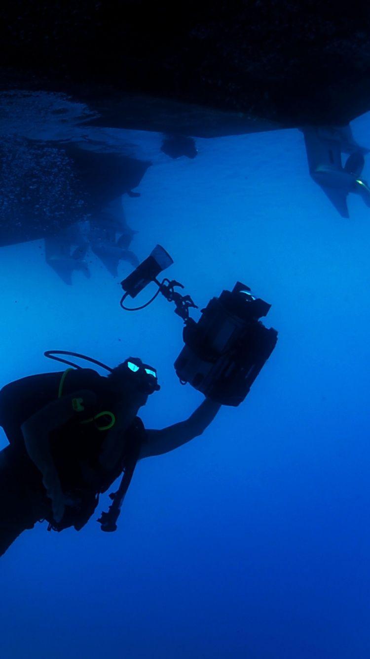 750x1334 Scuba Diving Wallpaper For I Phone