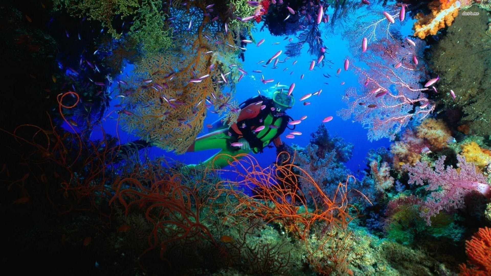 1920x1080 Scuba Diving Wallpaper High Resolution
