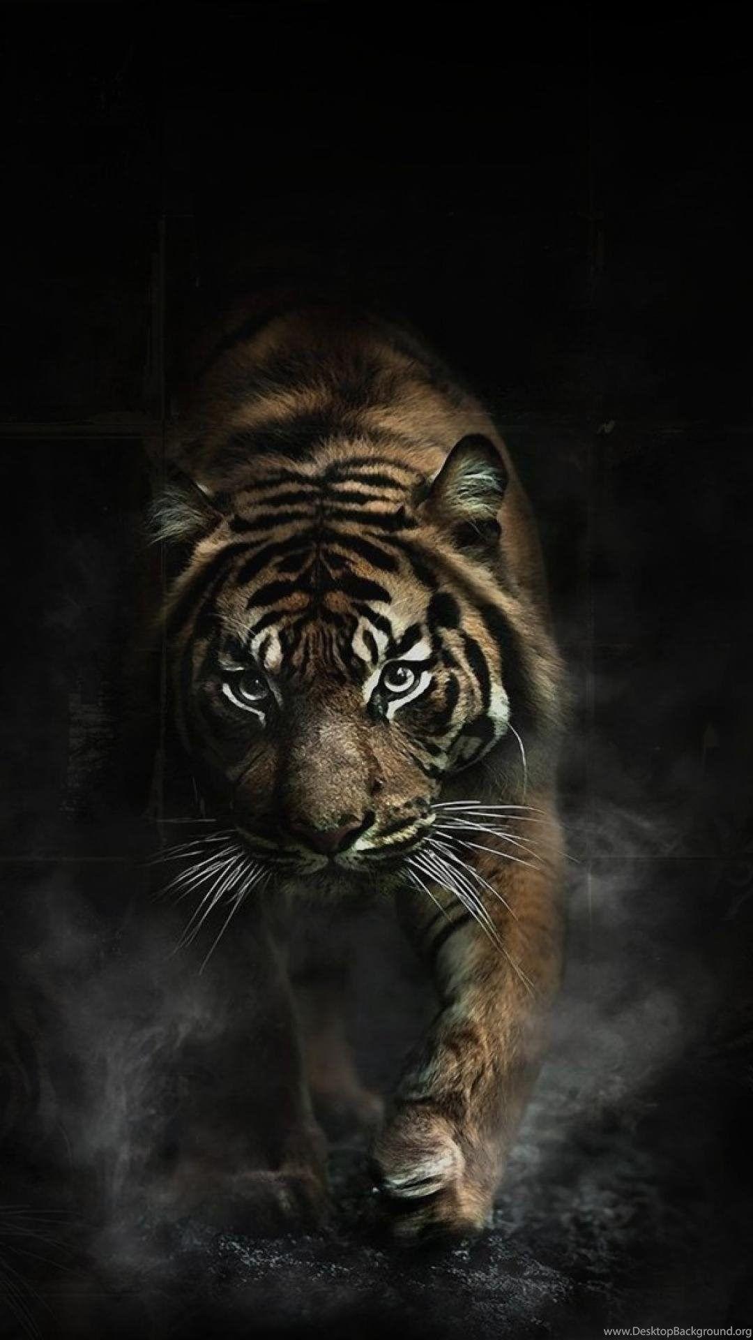 1080x1920 Animals Tigers Smoke Dangerous Wallpaper Desktop Background