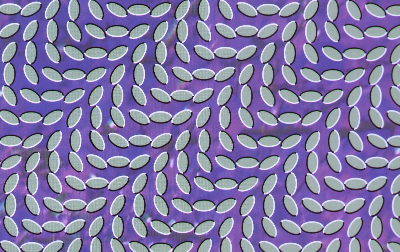 1280x808 Animal Collective Wallpaper. Arbor Collective Wallpaper, Spacecraft Collective Wallpaper and Animal Collective Wallpaper
