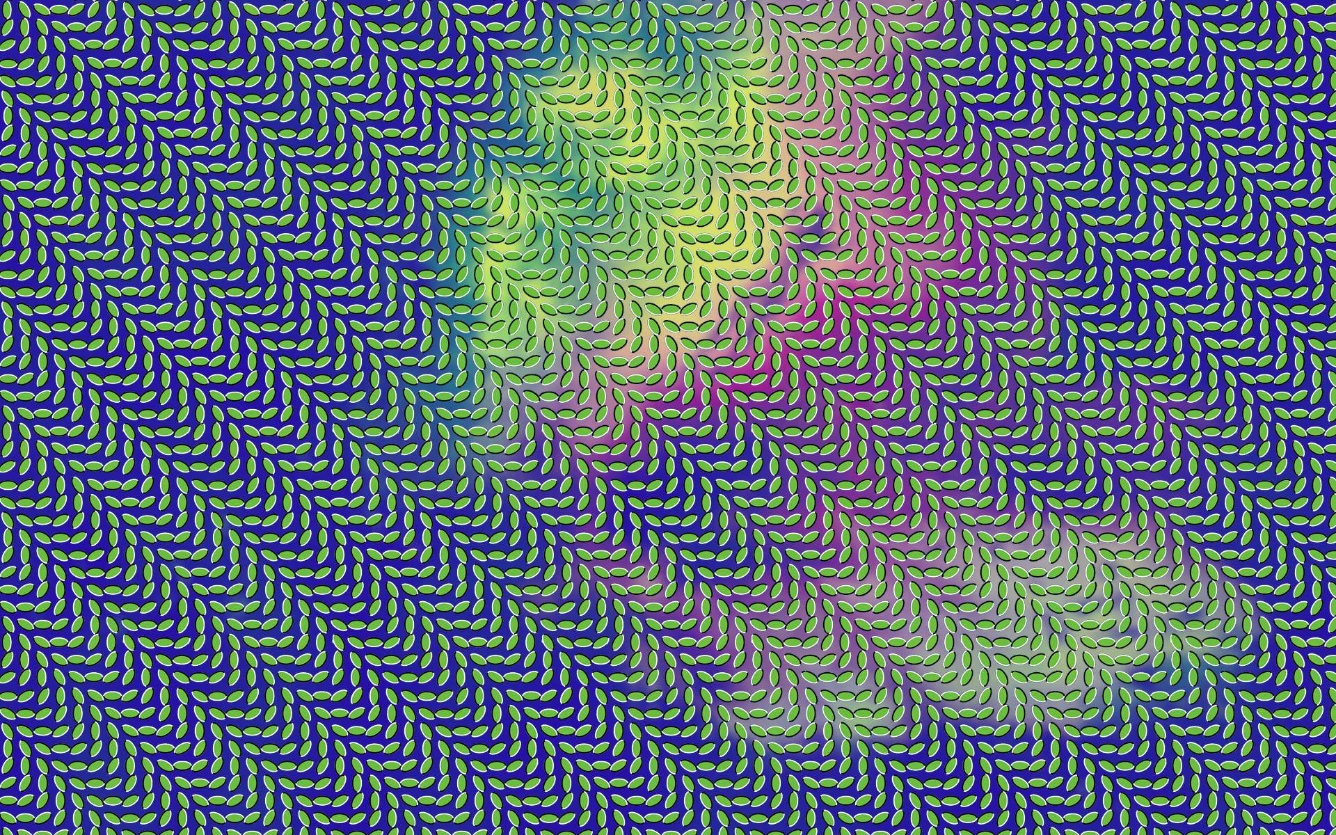 1920x1200 Animal Collective Post Pavillion [1920x1200]