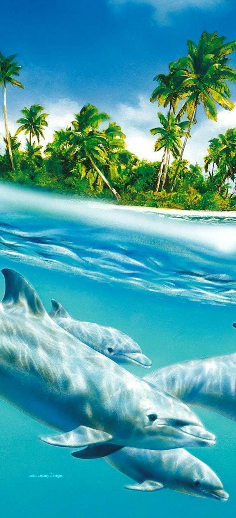 821x1800 Tropical Paradise. Phone wallpaper image, Marine plants, Sea animals