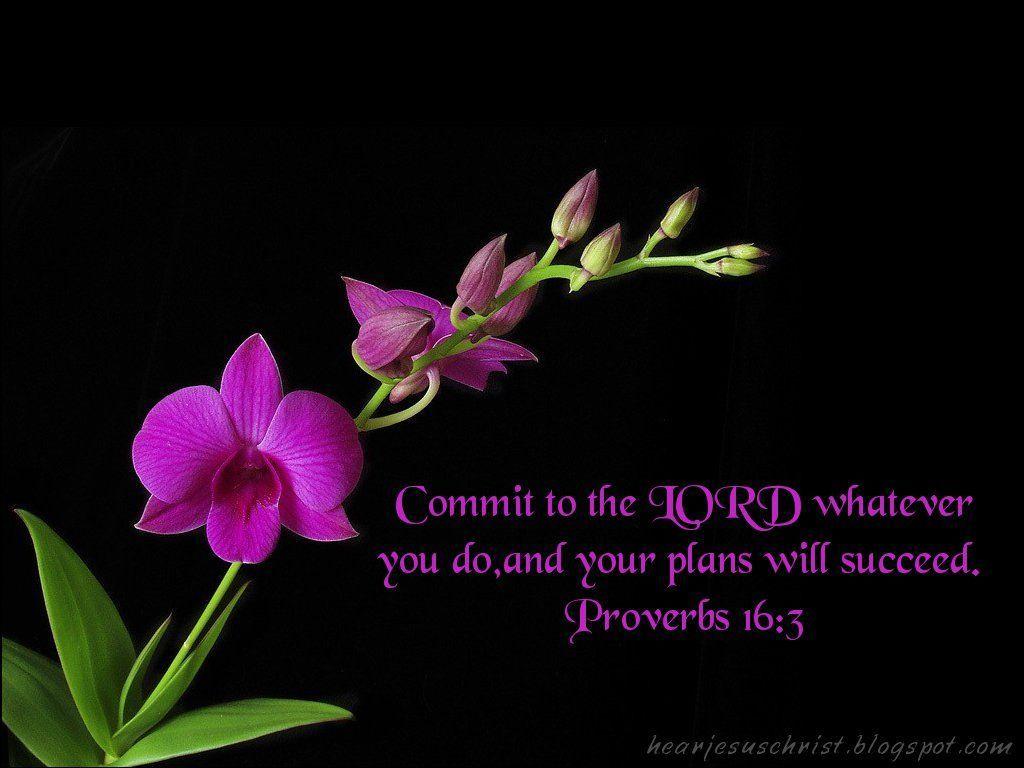 1024x768 Download Christian Bible Verse Proverbs Wallpaper 1024x768. Full