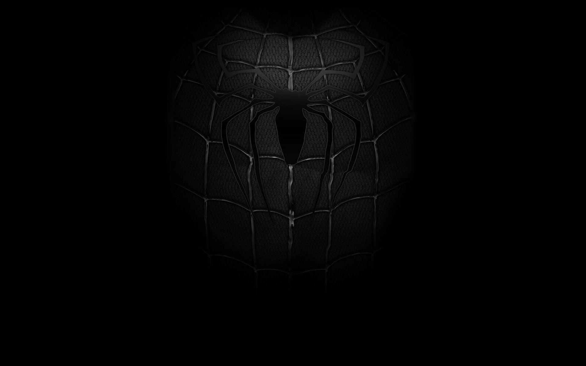 1920x1200 Spider Man Black And White Wallpaper