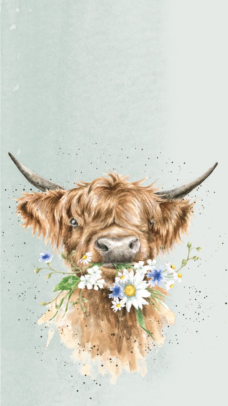 736x1308 Highland Cow Phone Wallpaper