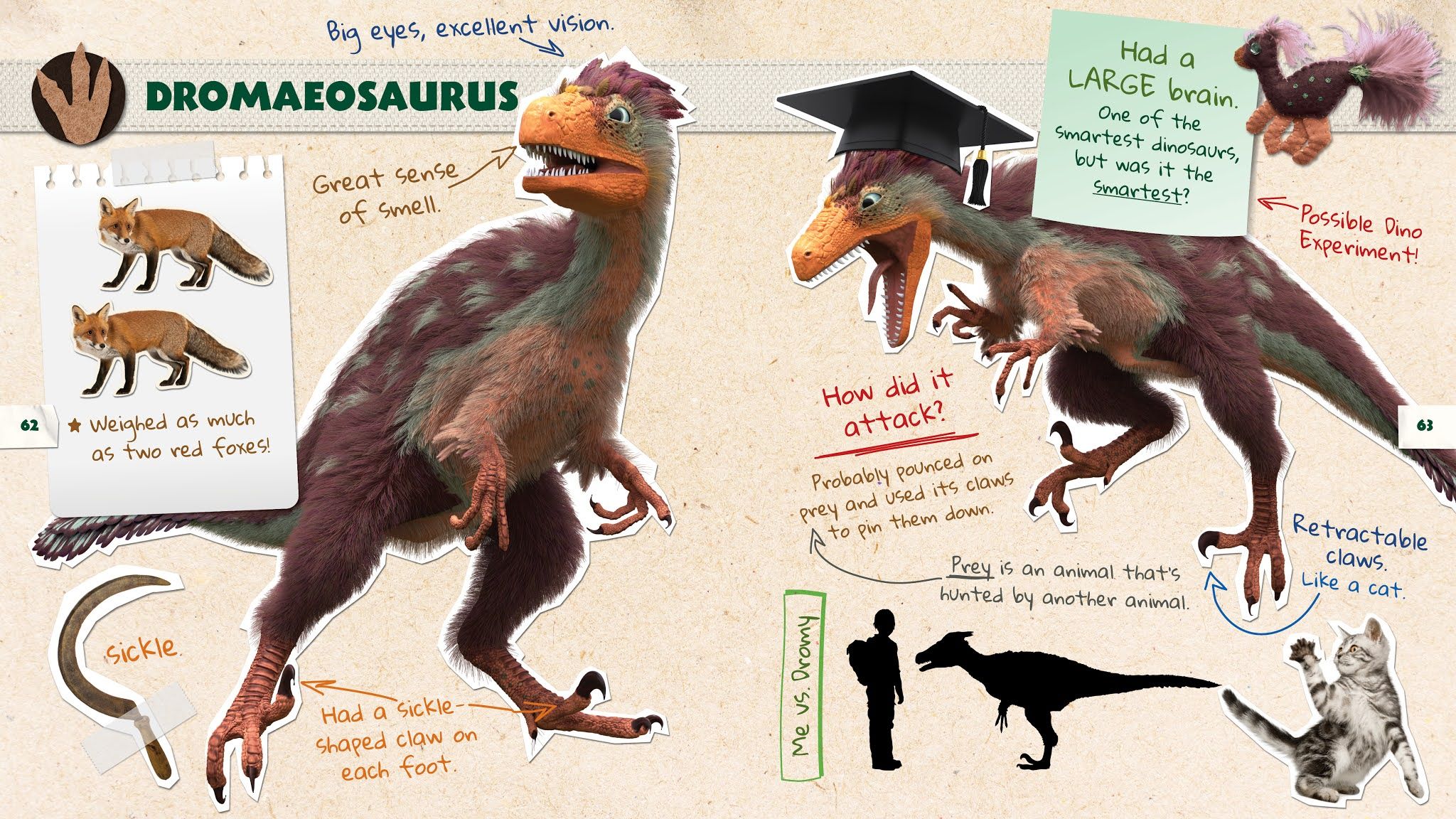 2048x1152 CanLit for LittleCanadians: Dino Dana: Dino Field Guides