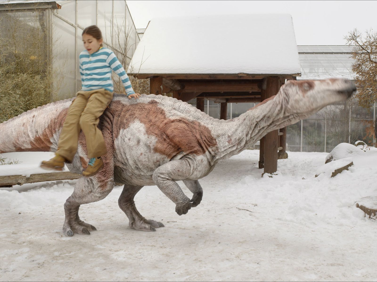 1600x1200 Prime Video: Dino Dana
