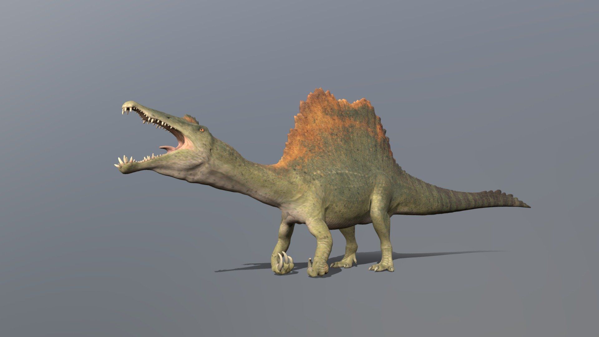 1920x1080 Accurate Spinosaurus Animated (Dino Dana) Free 3D model by Nobilis the Palaeovespa [28a1b2e]