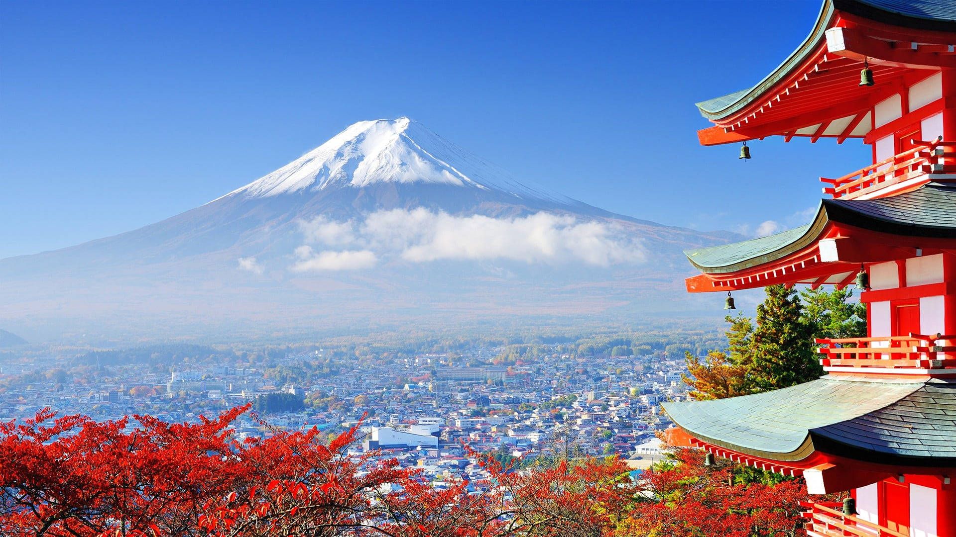 1920x1080 Download Autumn MacBook Arakurayama Sengen Park Wallpaper