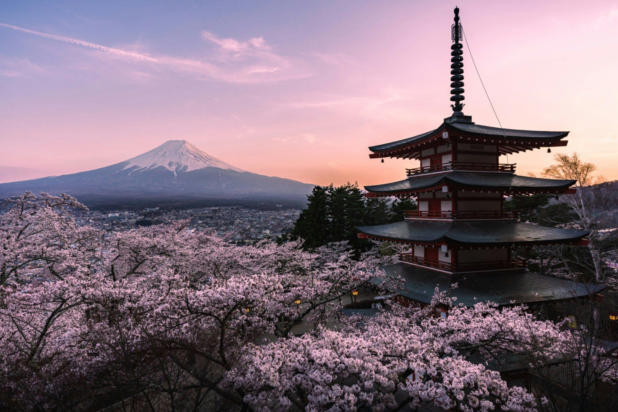 2000x1333 Shota's Post｜It's Spring In Niikurayama Sengen Park In Yamanashi Prefecture!It Is A Japan Like Scenery Of Cherry｜【Fujiyoshida】【Yamanashi Prefecture】【Arakurayama Sengen Park】【Great View】【Nature】【Travel】【Sightseeing】【Instagrammable