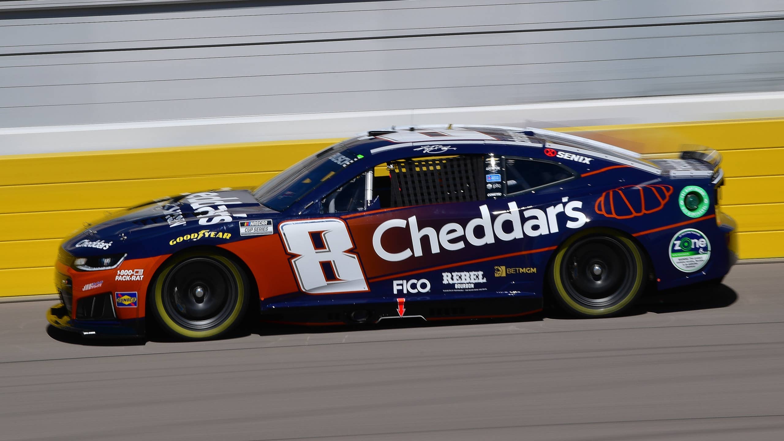 2560x1440 NASCAR Fans Praise RCR For Suspending Kyle Busch's No. 8 Car