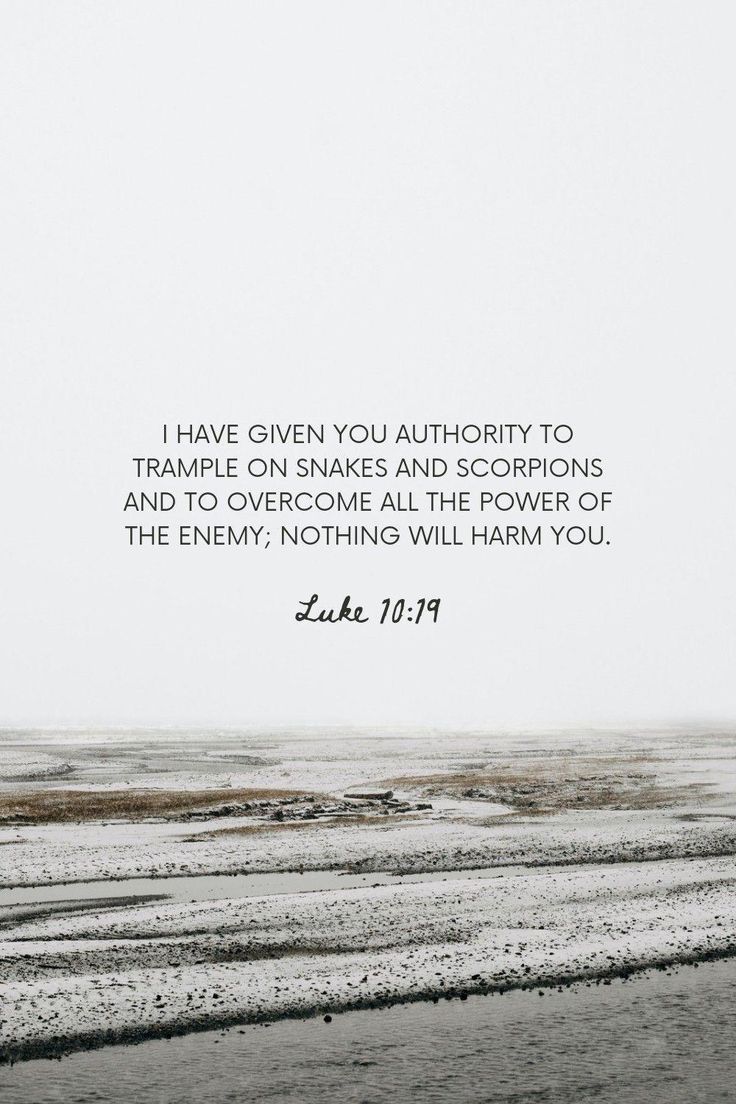 736x1104 Aesthetic Scripture Lockscreen Luke 10:19. Luke scriptures, Luke 1 37 wallpaper, Luke 10 19