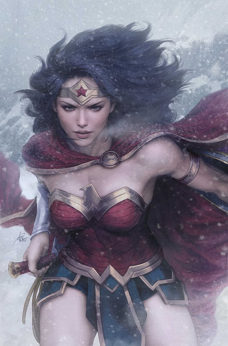 728x1105 HD wallpaper: Wonder Woman, Diana (wonder woman), DC Comics, superheroines
