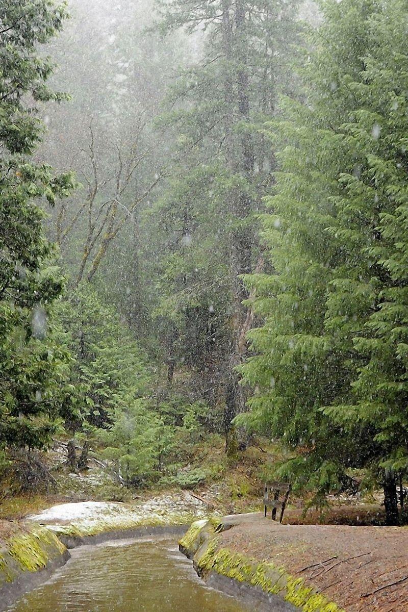 800x1200 Wallpaper Rain, Wood, River, Bad Weather Wallpaper HD iPhone