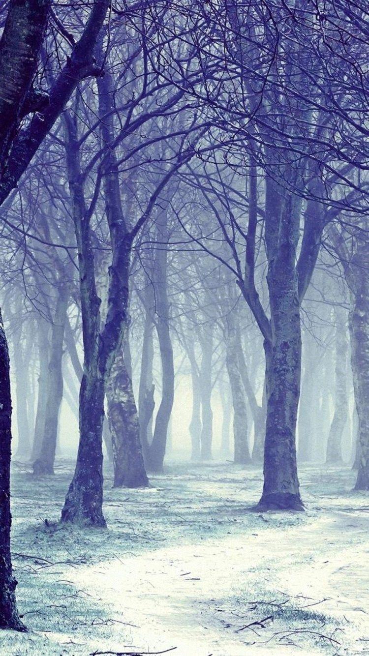 750x1334 Tree Snow Winter Nature Forest iPhone 6 Wallpaper HD And 1080P 6. Desktop Background