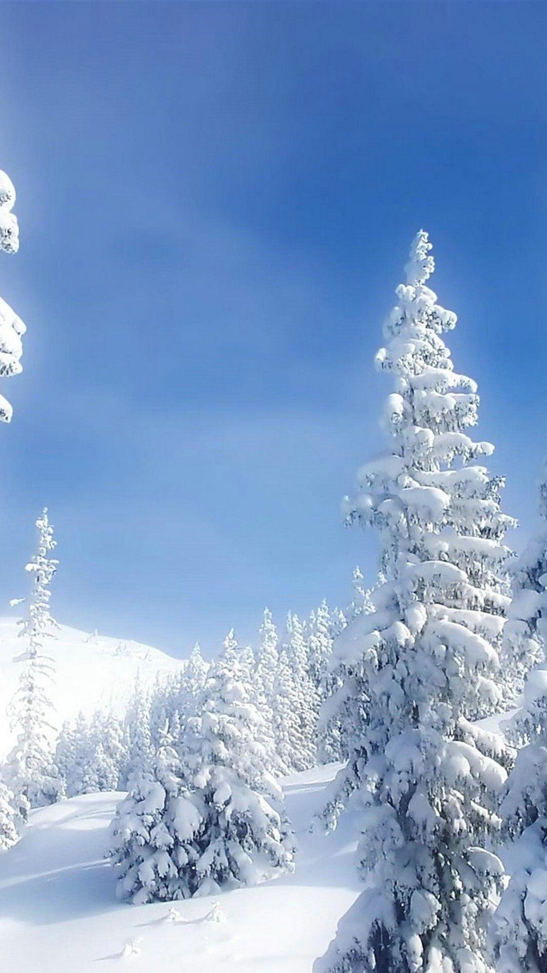 1080x1920 24++ Wallpaper iPhone Nature Winter