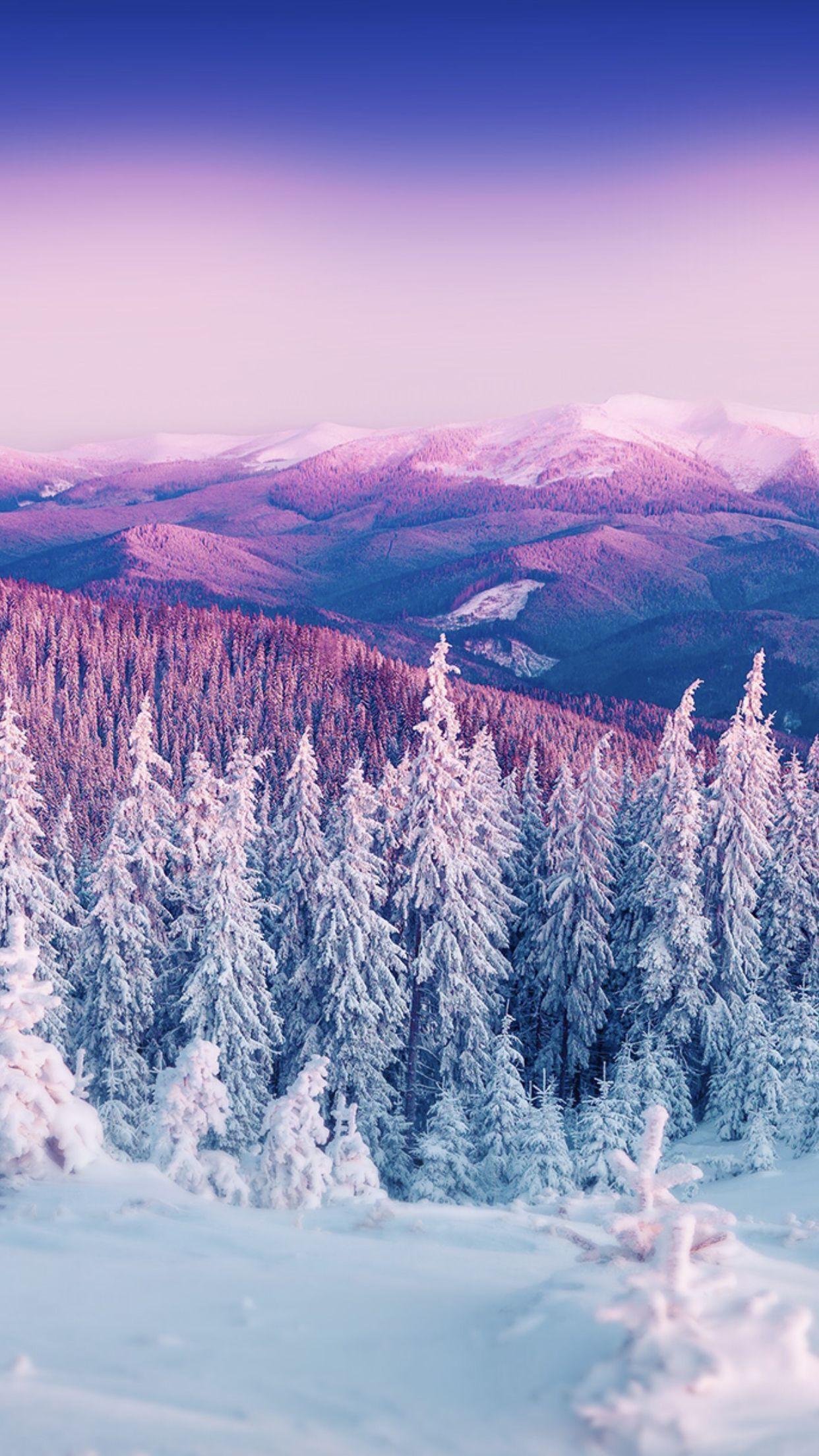 1242x2208 Nature Wallpaper Winter iPhone