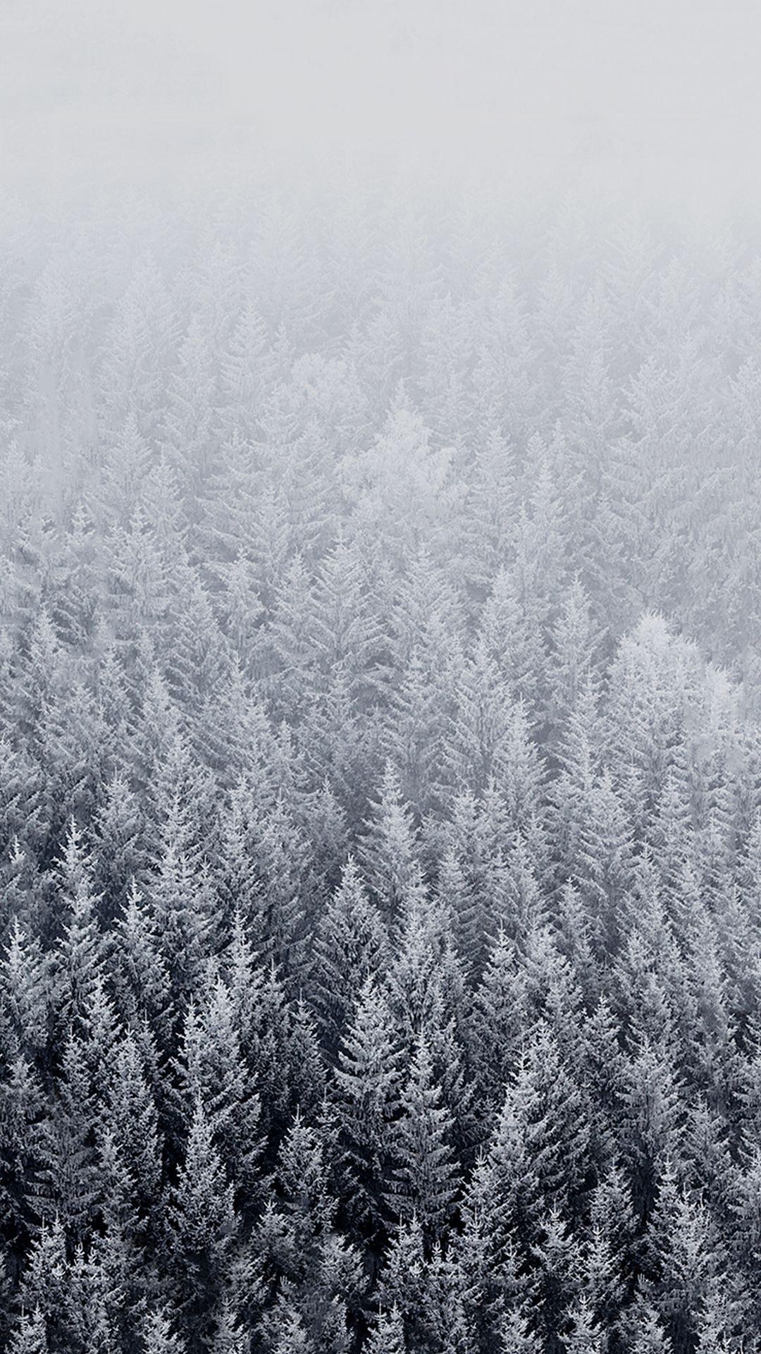 1080x1920 Winter iPhone 6 Wallpaper Elegant 60 Beautiful Nature iPhone Wallpaper Of the Day of The Hudson