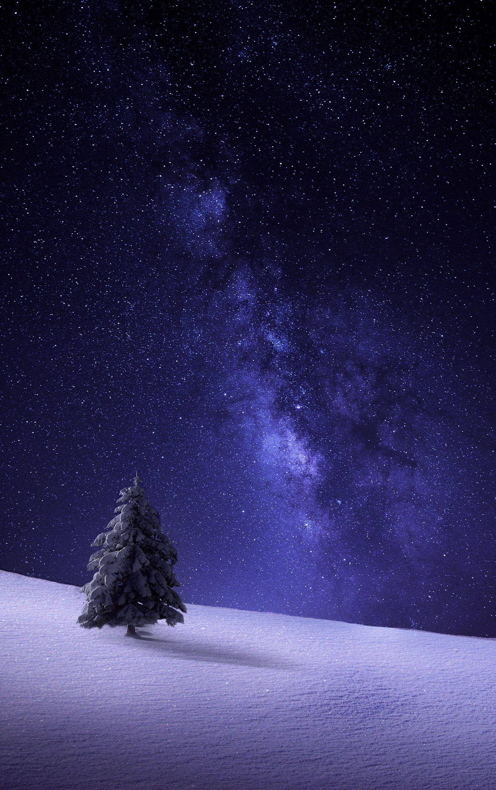 1607x2560 Winter iPhone Wallpaper Way HD Wallpaper