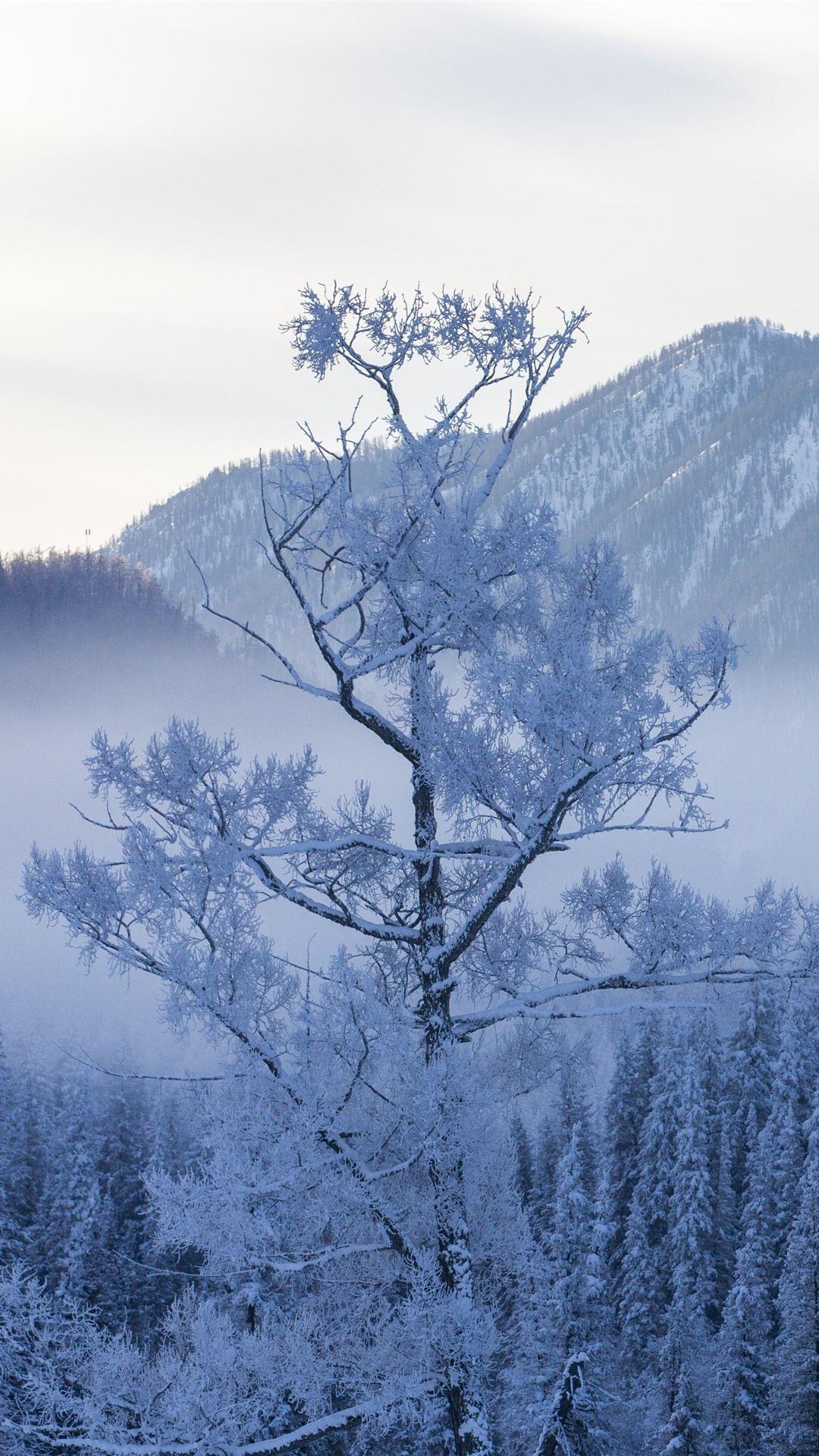 1080x1920 Nature Snow iPhone Background Kecbio