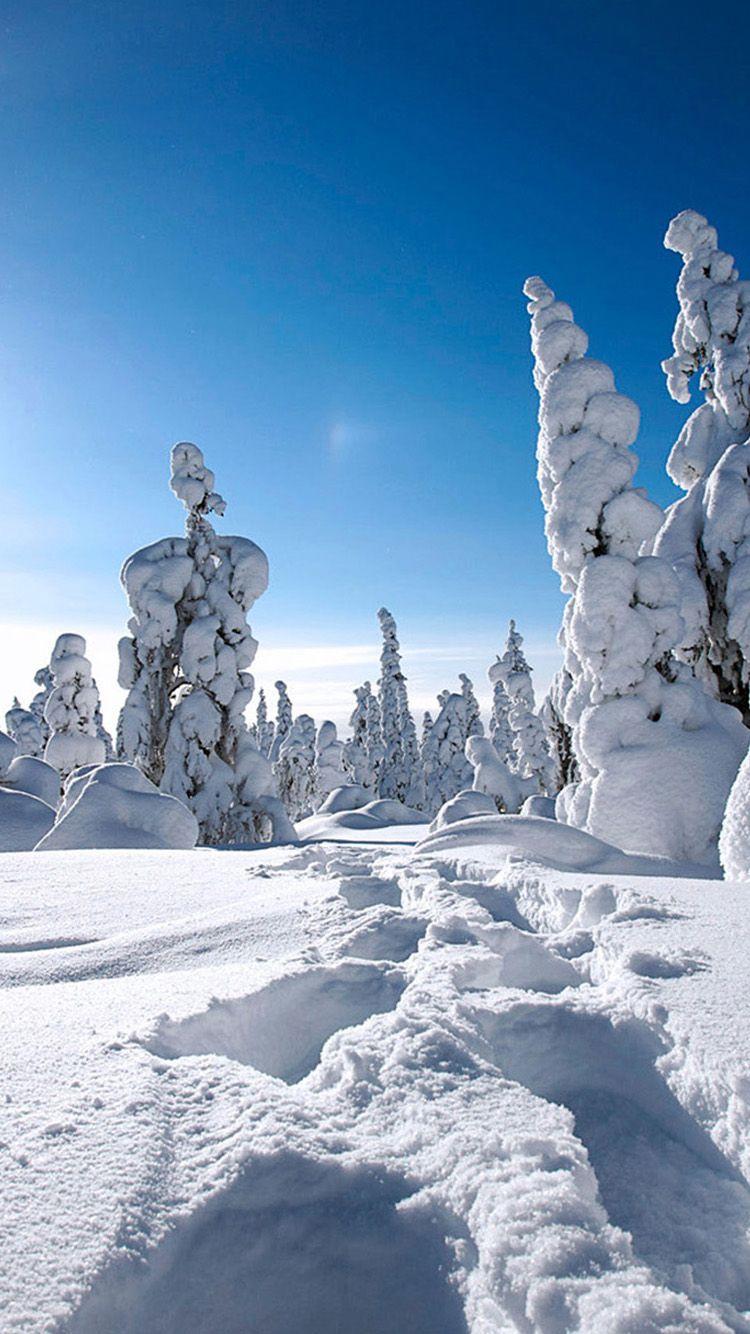750x1334 Snow Wallpaper iPhone 6