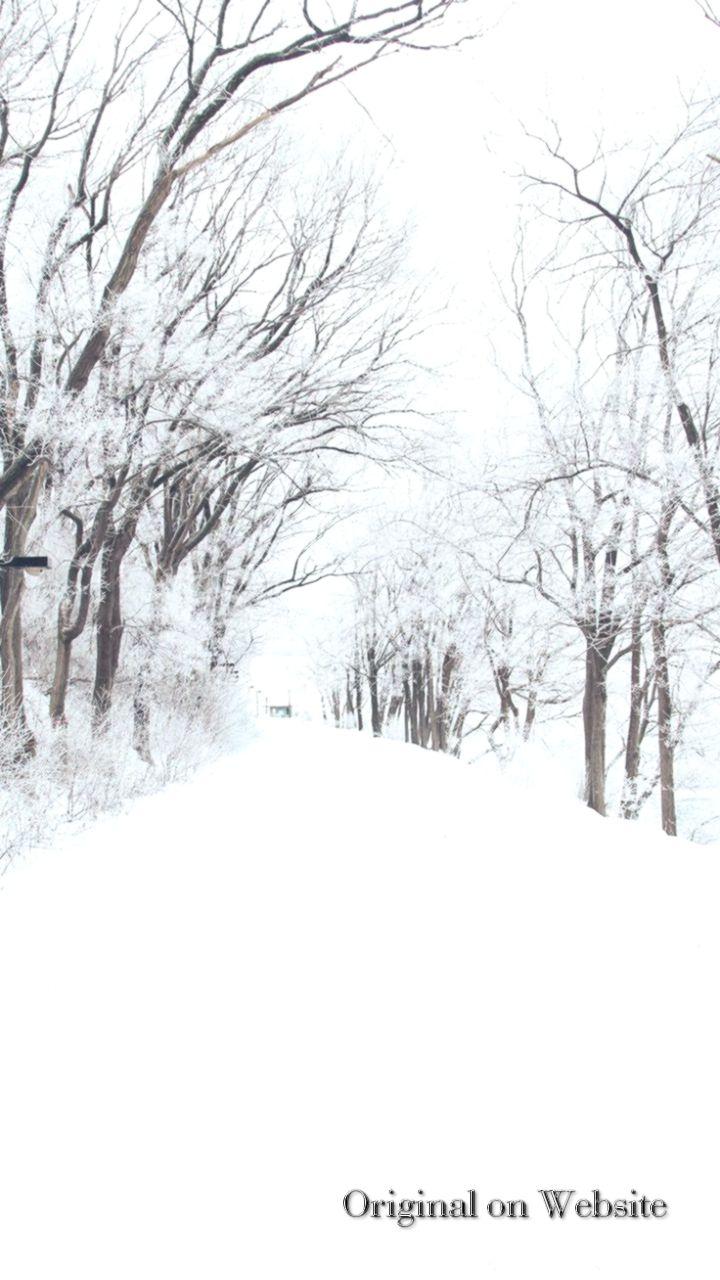720x1280 iPhone Wallpaper 4k Nature Winter Road Romantic Nature Wallpaper & Background Download