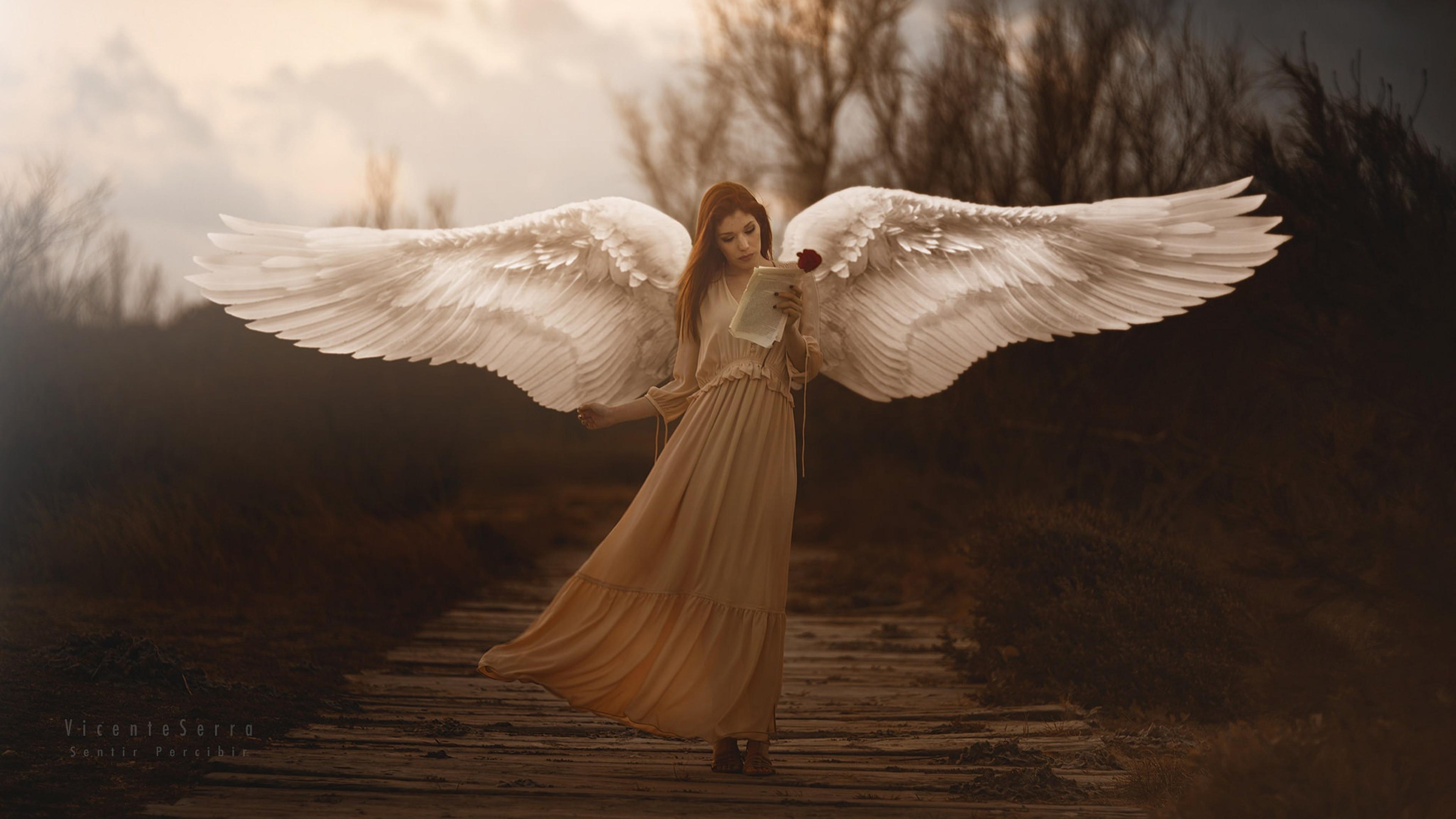 3840x2160 Angel Wallpapers Top Free 3840x2160 Angel Backgrounds Wallpaperaccess 7294