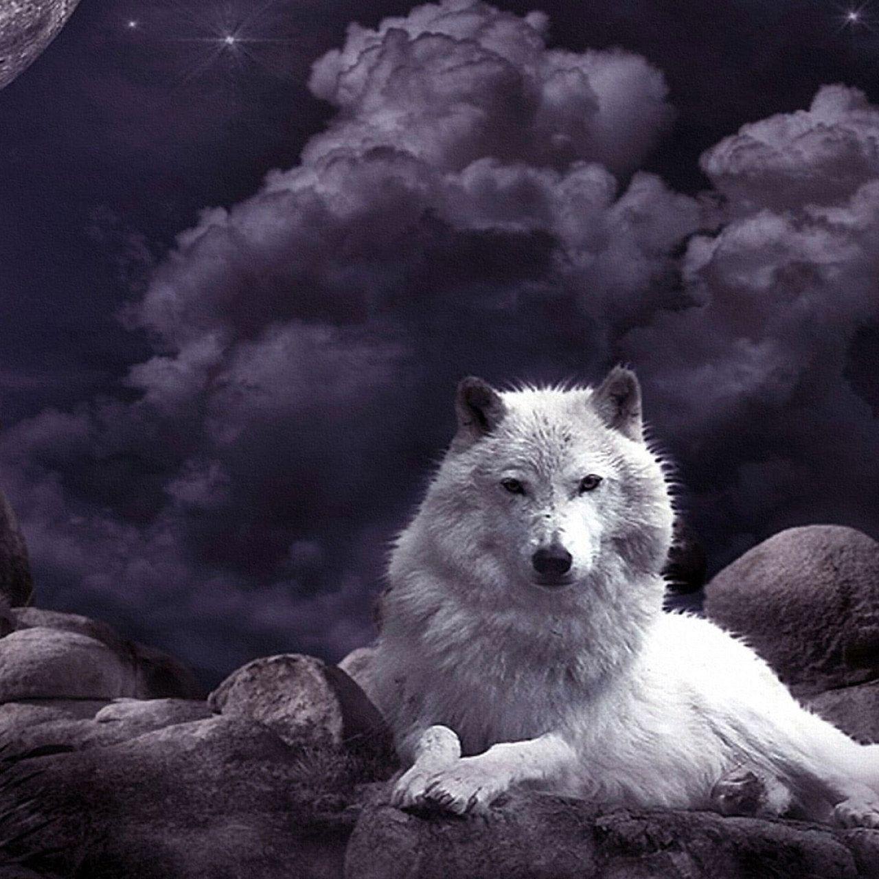 Mystical Fox Wallpapers - Top Free Mystical Fox Backgrounds