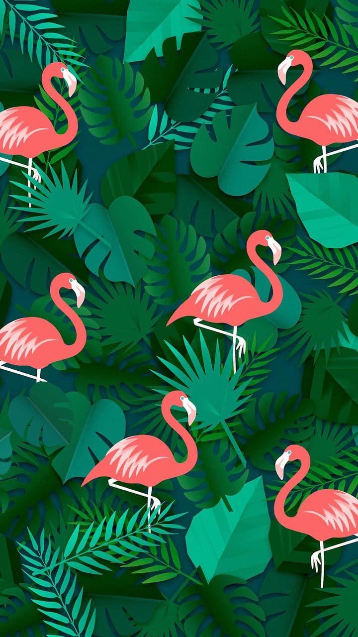 Pink And Green Aesthetic Wallpapers Top Free Pink And Green Aesthetic Backgrounds 