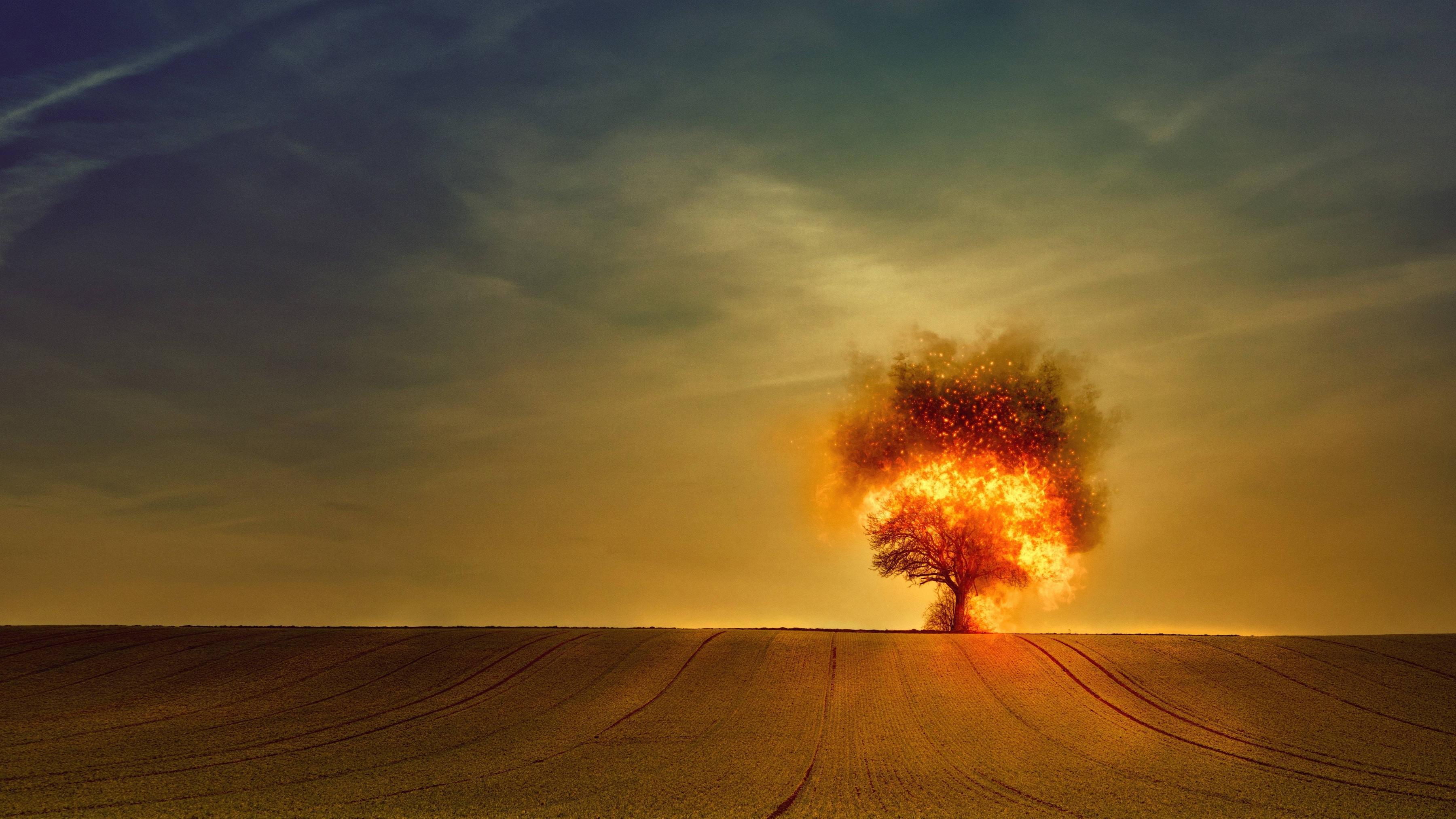 6000x3375 Tree On Fire 1680x1050 Resolution Wallpaper, HD Artist 4K Wallpaper, Image, Photo and Background
