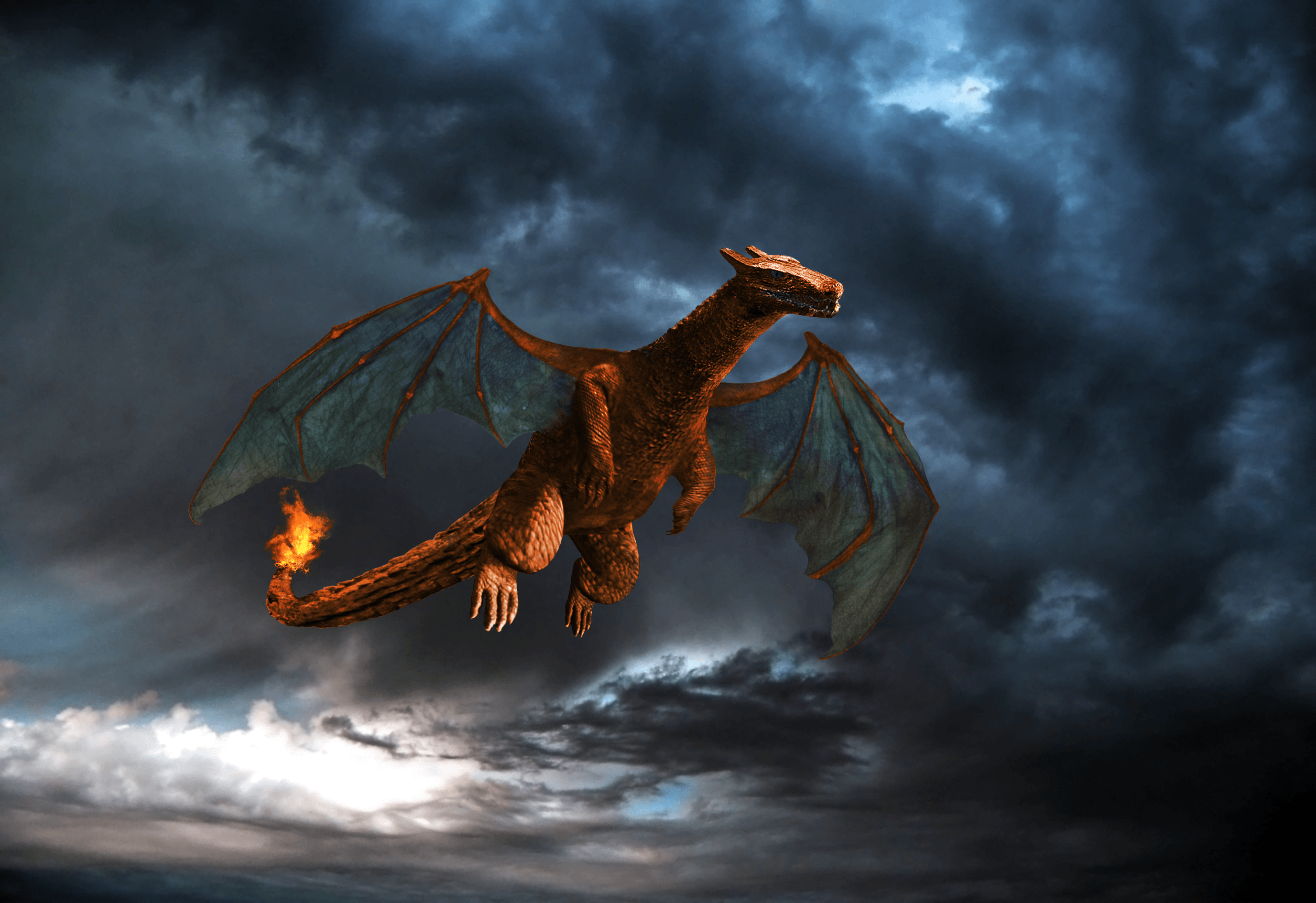 2753x1890 Real life Charizard (Light)