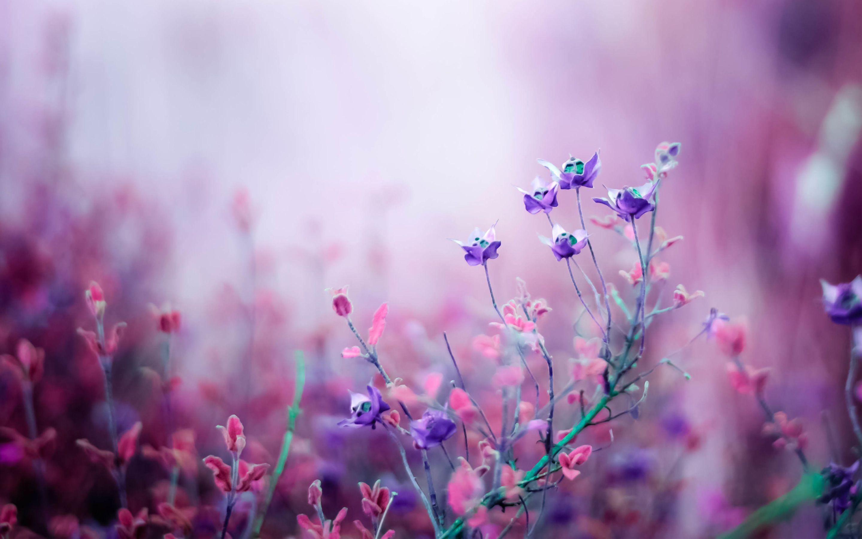 Flower Wallpaper Images - Free Download on Freepik