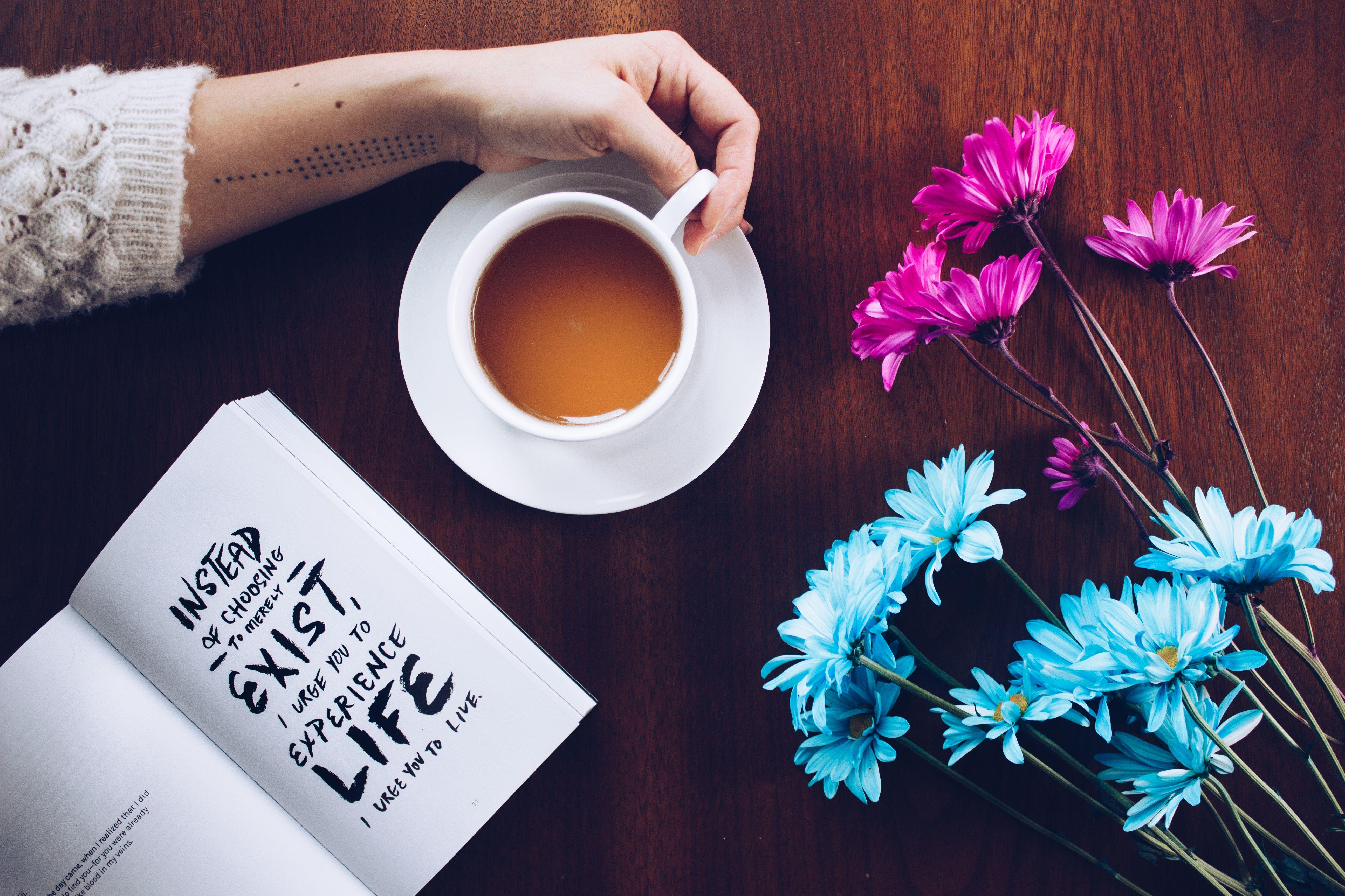 5184x3456 5184x3456 #saucer, #teacup, #flatlay, #tattoo, #flower, #book, #hand, #arm, #reading, #read, #tea, #word, #holding, #wood, #flowerfloral, #table, #pink, #blue, #coffee, #woman, #Free image