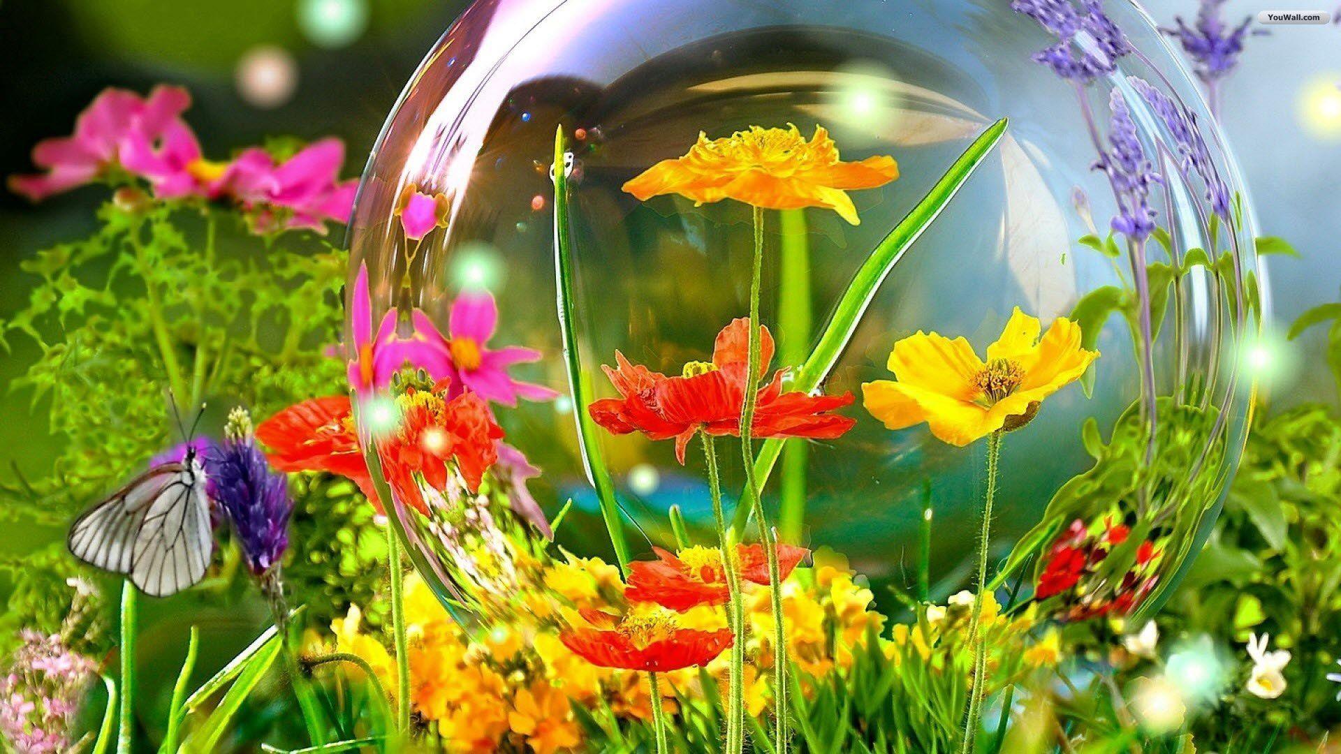 1920x1080 Free download Colored Garden Flowers Wallpaper wallpaperwallpaperfree wallpaper [1920x1080] for your Desktop, Mobile & Tablet. Explore Flower Garden Background. Free Garden Wallpaper Background, Garden Wallpaper, Beautiful