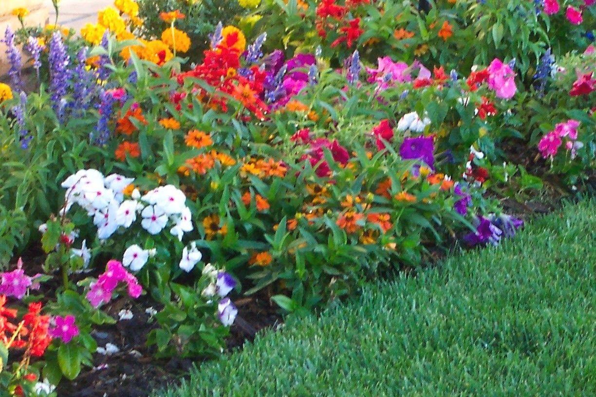 1224x816 Flower Garden Beautiful Colors Spring Flowers Wallpaper Flower Gardens Sun Wallpaper & Background Download