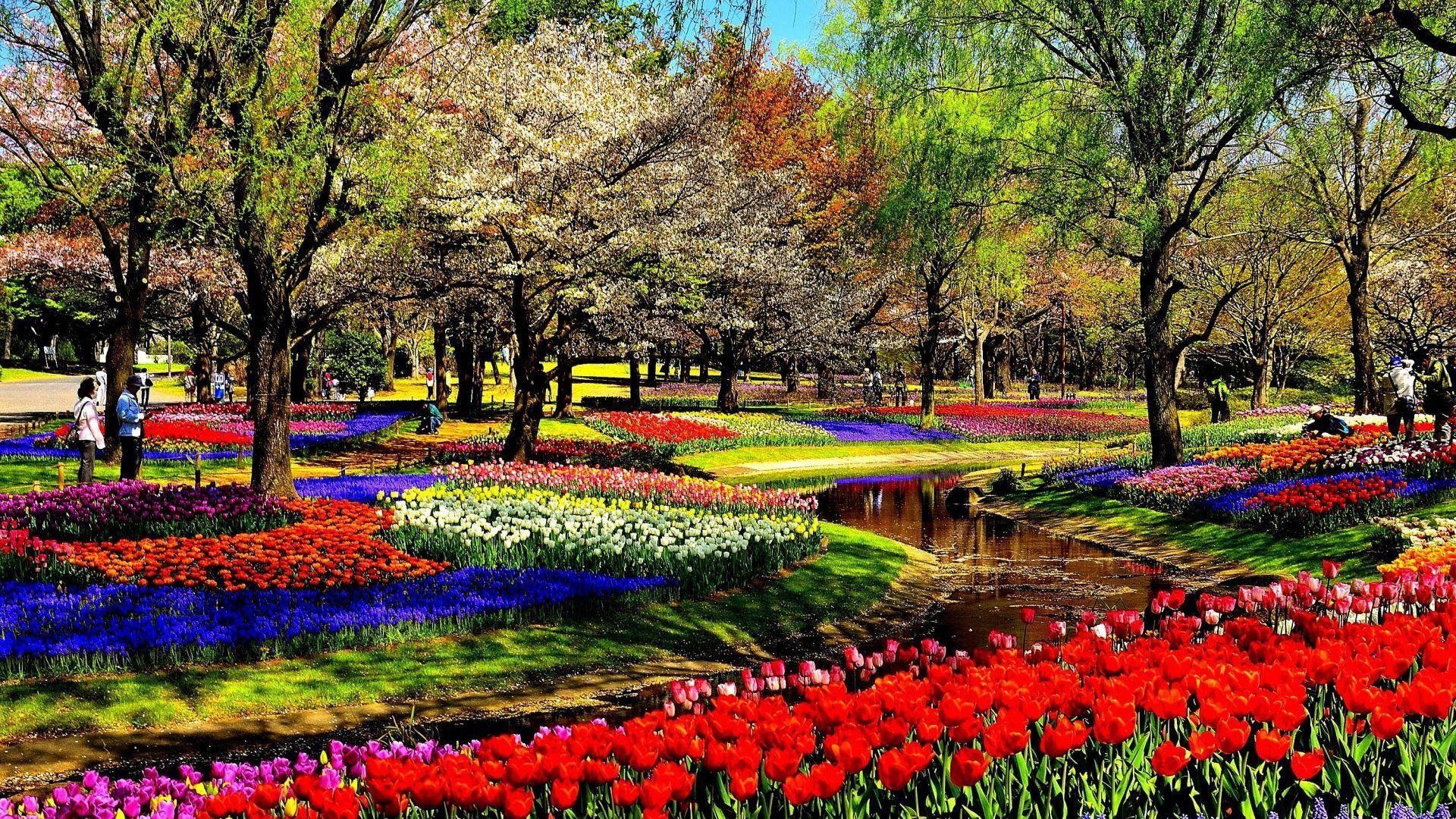 1920x1080 Flowers Park Parks Garden Gardens Colorful Flower HD Of Nature