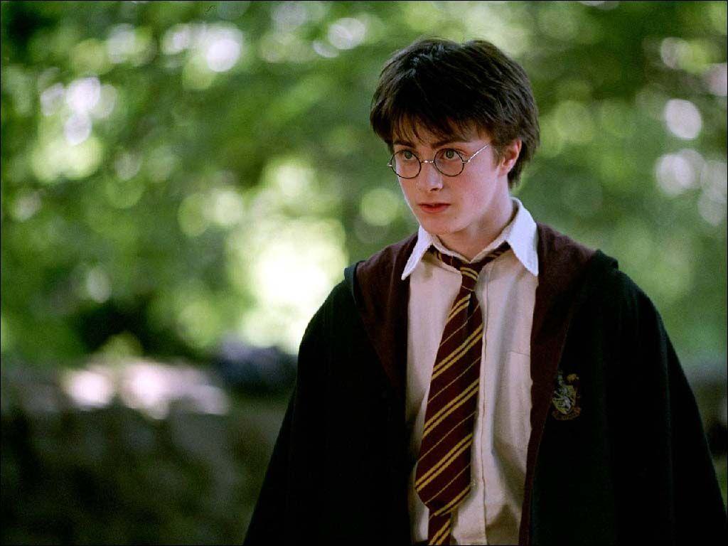 1024x768 Harry Potter Wallpaper James Potter Wallpaper